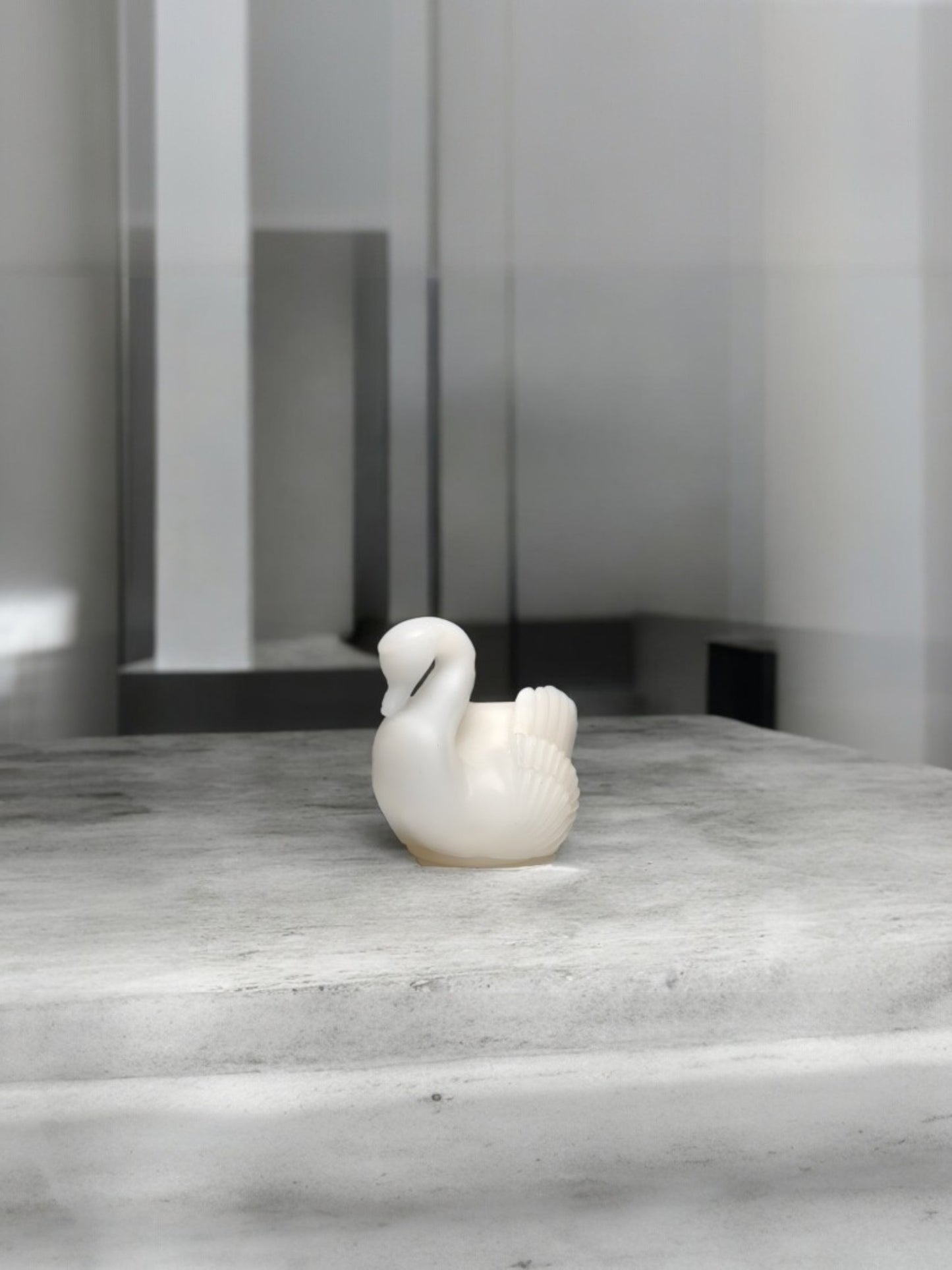 Cisne