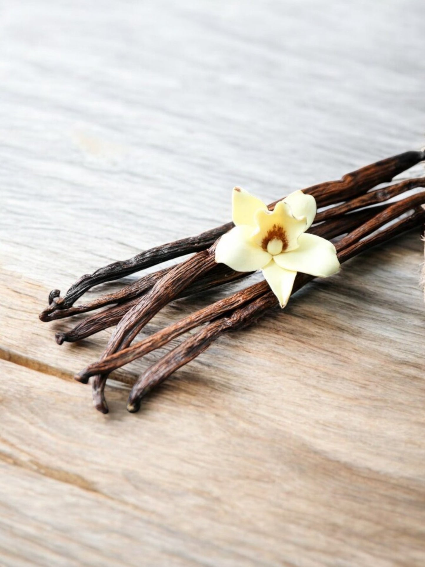 Fragancia Vainilla Tahití