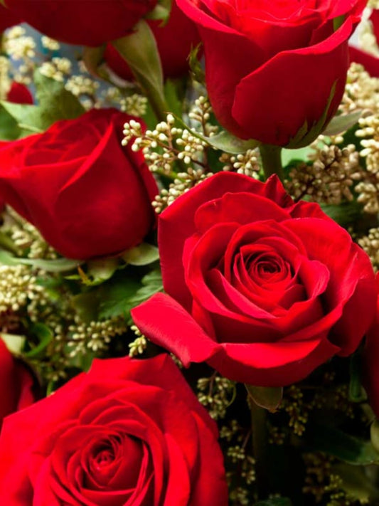 Fragancia Rosas