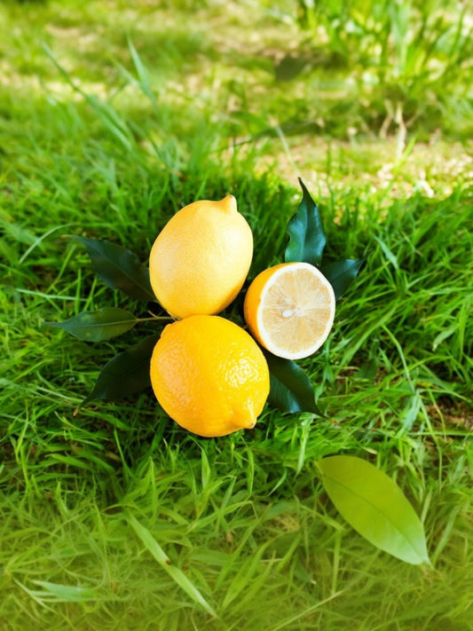 Fragrancia Limón Citrico