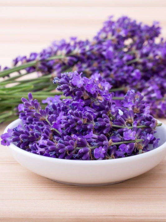 Fragancia Lavanda